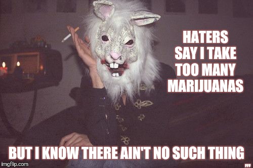 HATERS
 SAY I TAKE TOO MANY MARIJUANAS; ,,, BUT I KNOW THERE AIN'T NO SUCH THING | image tagged in meme | made w/ Imgflip meme maker