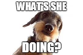 WHAT'S SHE DOING? | made w/ Imgflip meme maker