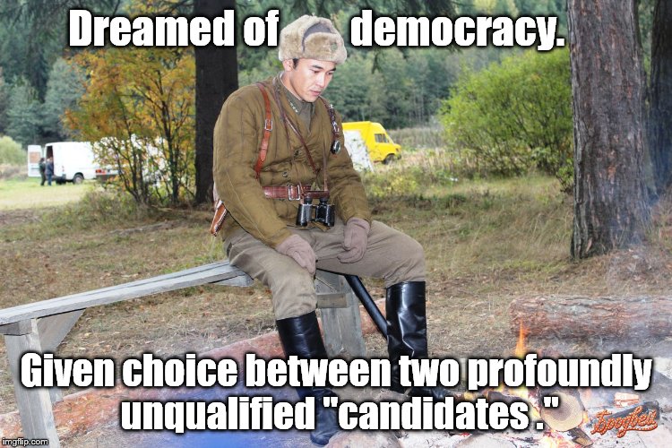 Dejected, his dream of Democracy shattered after a lifetime of struggling for freedom. Alas. | Dreamed of         democracy. Given choice between two profoundly unqualified "candidates ." | image tagged in corporal chen chang,choice,election,democracy | made w/ Imgflip meme maker