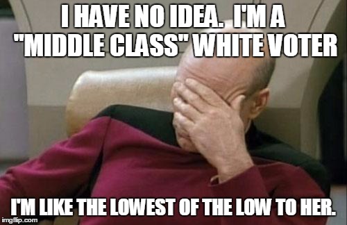 Captain Picard Facepalm Meme | I HAVE NO IDEA.  I'M A "MIDDLE CLASS" WHITE VOTER I'M LIKE THE LOWEST OF THE LOW TO HER. | image tagged in memes,captain picard facepalm | made w/ Imgflip meme maker