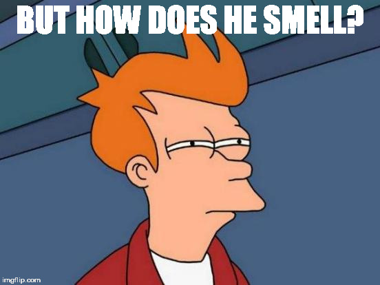 Futurama Fry Meme | BUT HOW DOES HE SMELL? | image tagged in memes,futurama fry | made w/ Imgflip meme maker