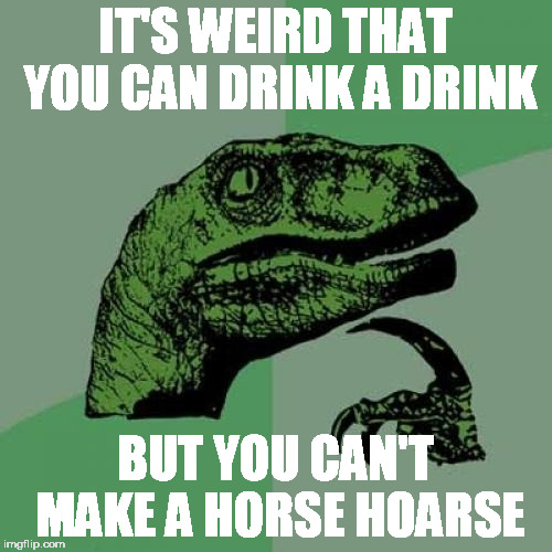 Philosoraptor Meme | IT'S WEIRD THAT YOU CAN DRINK A DRINK BUT YOU CAN'T MAKE A HORSE HOARSE | image tagged in memes,philosoraptor | made w/ Imgflip meme maker
