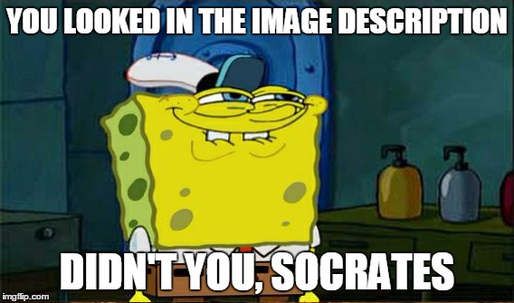 YOU LOOKED IN THE IMAGE DESCRIPTION DIDN'T YOU, SOCRATES | made w/ Imgflip meme maker