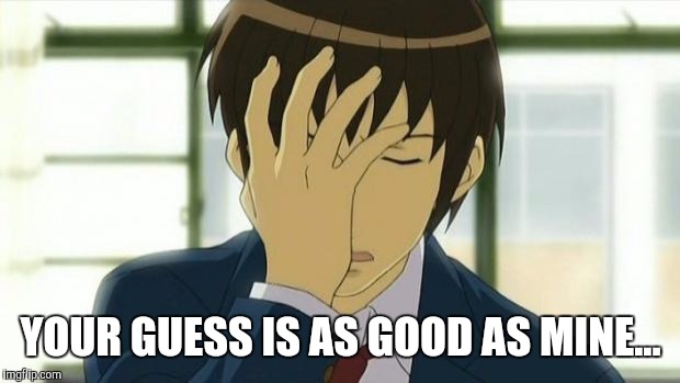 Kyon Facepalm Ver 2 | YOUR GUESS IS AS GOOD AS MINE... | image tagged in kyon facepalm ver 2 | made w/ Imgflip meme maker