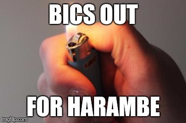 BICS OUT; FOR HARAMBE | image tagged in funny | made w/ Imgflip meme maker