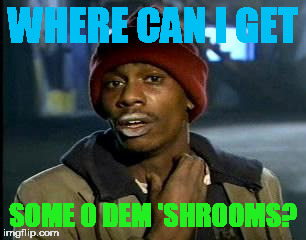 Y'all Got Any More Of That Meme | WHERE CAN I GET SOME O DEM 'SHROOMS? | image tagged in memes,yall got any more of | made w/ Imgflip meme maker