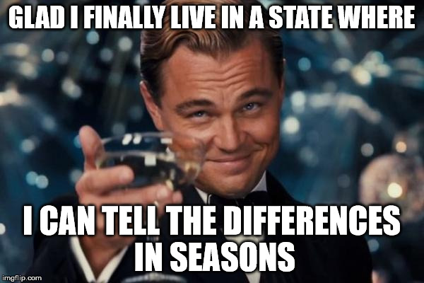 Leonardo Dicaprio Cheers Meme | GLAD I FINALLY LIVE IN A STATE WHERE I CAN TELL THE DIFFERENCES IN SEASONS | image tagged in memes,leonardo dicaprio cheers | made w/ Imgflip meme maker