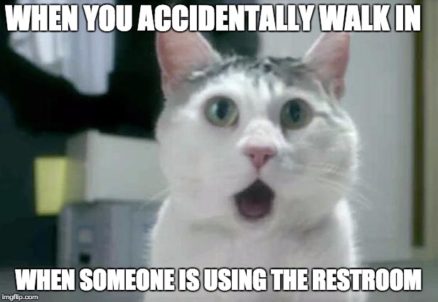 OMG Cat | WHEN YOU ACCIDENTALLY WALK IN; WHEN SOMEONE IS USING THE RESTROOM | image tagged in memes,omg cat | made w/ Imgflip meme maker