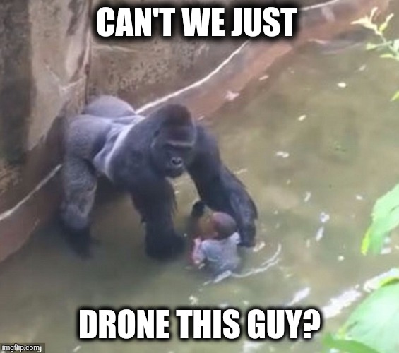 Harambe | CAN'T WE JUST; DRONE THIS GUY? | image tagged in harambe | made w/ Imgflip meme maker