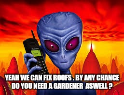 YEAH WE CAN FIX ROOFS . BY ANY CHANCE DO YOU NEED A GARDENER  ASWELL ? | made w/ Imgflip meme maker