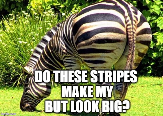 DO THESE STRIPES MAKE MY BUT LOOK BIG? | made w/ Imgflip meme maker
