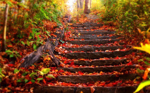 High Quality Autumn stairs Blank Meme Template
