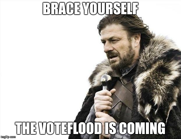 Brace Yourselves X is Coming Meme | BRACE YOURSELF; THE VOTEFLOOD IS COMING | image tagged in memes,brace yourselves x is coming | made w/ Imgflip meme maker
