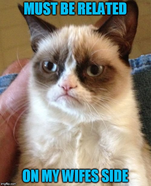 Grumpy Cat Meme | MUST BE RELATED ON MY WIFES SIDE | image tagged in memes,grumpy cat | made w/ Imgflip meme maker