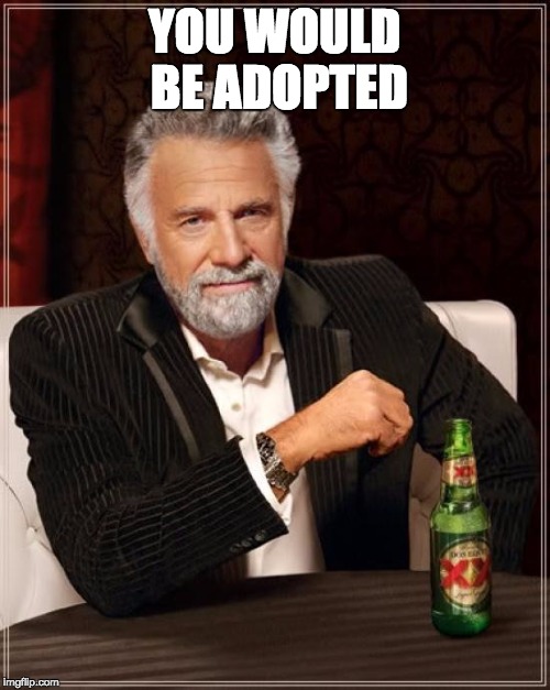 YOU WOULD BE ADOPTED | image tagged in memes,the most interesting man in the world | made w/ Imgflip meme maker