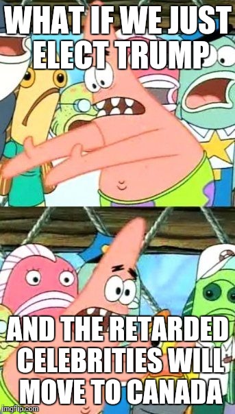 Put It Somewhere Else Patrick Meme | WHAT IF WE JUST ELECT TRUMP; AND THE RETARDED CELEBRITIES WILL MOVE TO CANADA | image tagged in memes,put it somewhere else patrick | made w/ Imgflip meme maker
