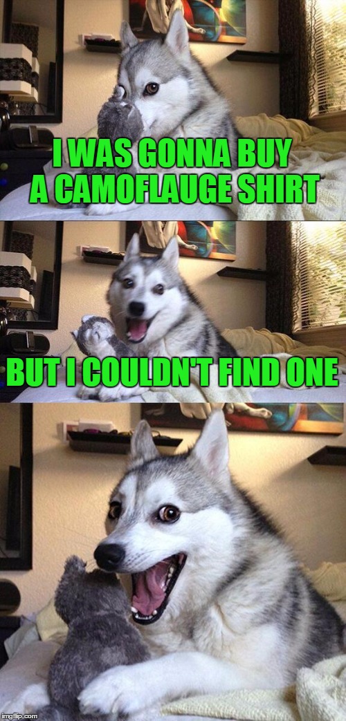 Bad Pun Dog Meme | I WAS GONNA BUY A CAMOFLAUGE SHIRT; BUT I COULDN'T FIND ONE | image tagged in memes,bad pun dog | made w/ Imgflip meme maker