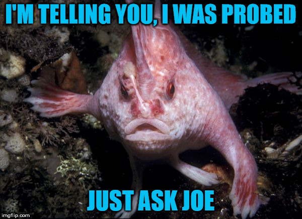 I'M TELLING YOU, I WAS PROBED JUST ASK JOE | made w/ Imgflip meme maker