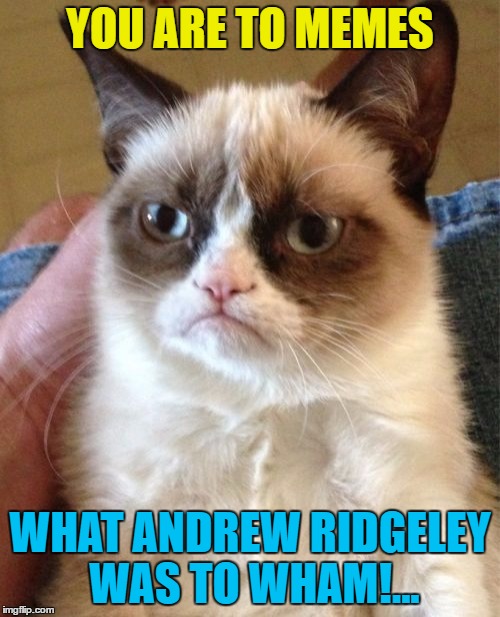 Not you obviously - someone else... :) | YOU ARE TO MEMES; WHAT ANDREW RIDGELEY WAS TO WHAM!... | image tagged in memes,grumpy cat,music,wham,80s music,andrew ridgeley | made w/ Imgflip meme maker