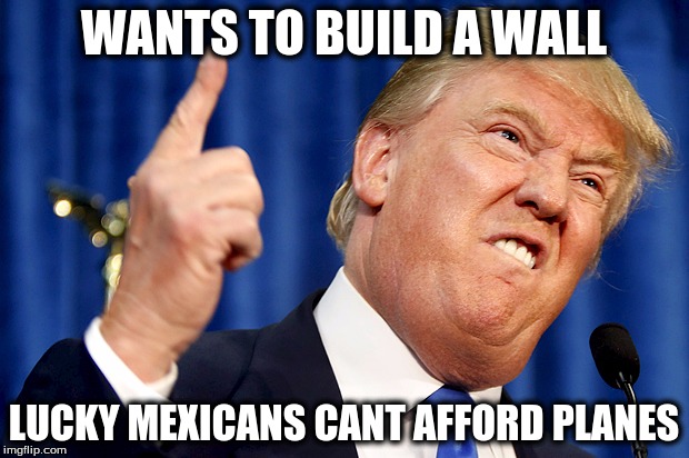 Donald Trump | WANTS TO BUILD A WALL; LUCKY MEXICANS CANT AFFORD PLANES | image tagged in donald trump | made w/ Imgflip meme maker