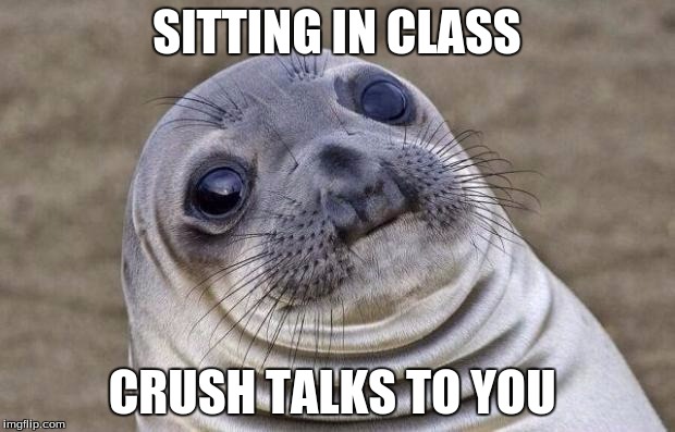 Awkward Moment Sealion Meme | SITTING IN CLASS; CRUSH TALKS TO YOU | image tagged in memes,awkward moment sealion | made w/ Imgflip meme maker