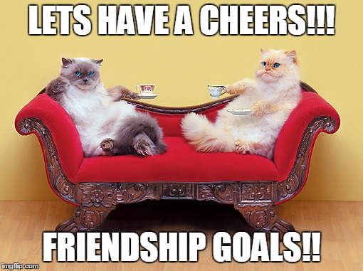 Friendship is Important for all cats | LETS HAVE A CHEERS!!! FRIENDSHIP GOALS!! | image tagged in memes,cats | made w/ Imgflip meme maker