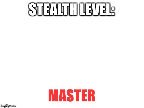 STEALTH LEVEL: MASTER | made w/ Imgflip meme maker