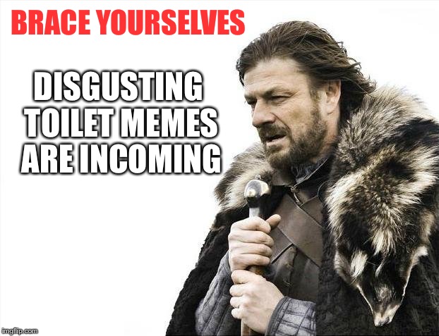 Brace Yourselves X is Coming Meme | BRACE YOURSELVES DISGUSTING TOILET MEMES ARE INCOMING | image tagged in memes,brace yourselves x is coming | made w/ Imgflip meme maker