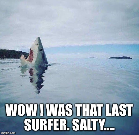 shark_head_out_of_water | WOW ! WAS THAT LAST SURFER. SALTY.... | image tagged in shark_head_out_of_water | made w/ Imgflip meme maker