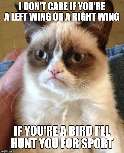 Grumpy Cat | I DON'T CARE IF YOU'RE A LEFT WING OR A RIGHT WING; IF YOU'RE A BIRD I'LL HUNT YOU FOR SPORT | image tagged in memes,grumpy cat | made w/ Imgflip meme maker