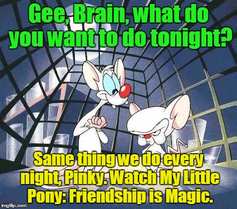 Gee, Brain, what do you want to do tonight? Same thing we do every night, Pinky. Watch My Little Pony: Friendship is Magic. | made w/ Imgflip meme maker