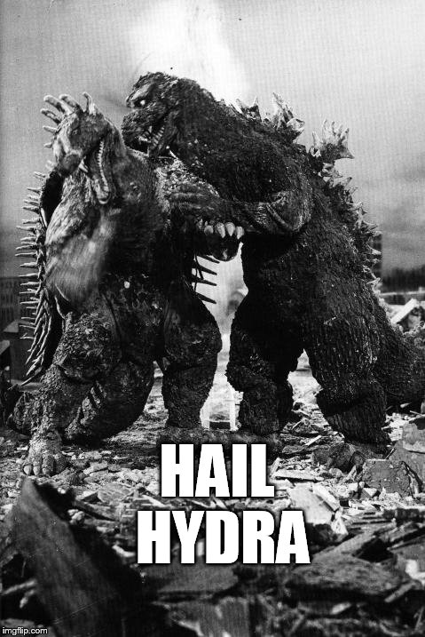 HAIL HYDRA | image tagged in godzilla vs anguirus | made w/ Imgflip meme maker