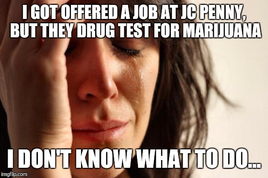 Concerned Milo | I GOT OFFERED A JOB AT JC PENNY, BUT THEY DRUG TEST FOR MARIJUANA; I DON'T KNOW WHAT TO DO... | image tagged in memes,first world problems,job,funny,weed,marijuana | made w/ Imgflip meme maker