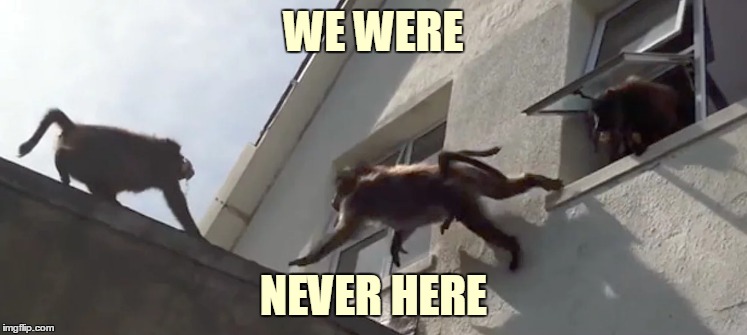 WE WERE NEVER HERE | made w/ Imgflip meme maker