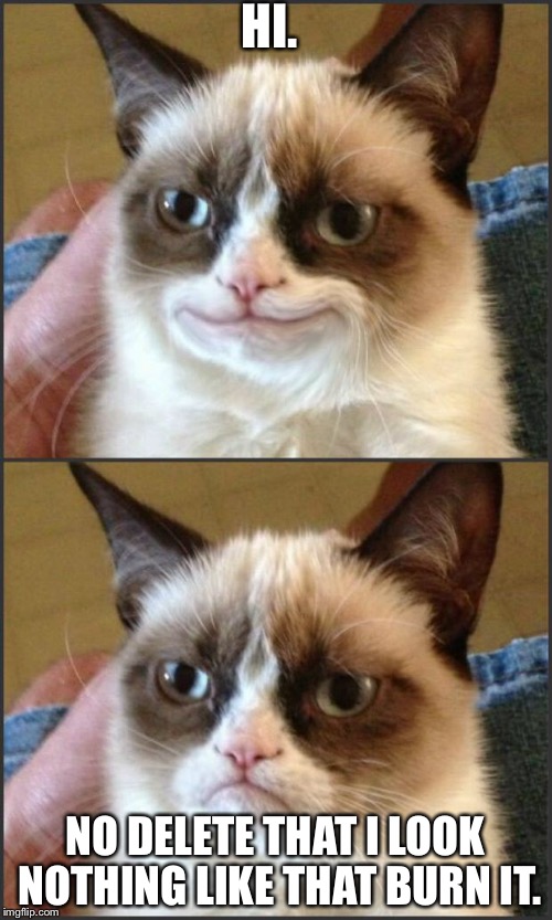 Happy Grumpy cat photoshop | HI. NO DELETE THAT I LOOK NOTHING LIKE THAT BURN IT. | image tagged in happy grumpy cat photoshop | made w/ Imgflip meme maker