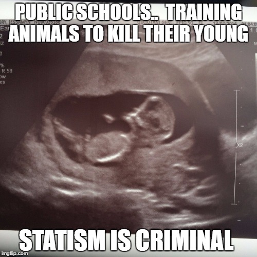 PUBLIC SCHOOLS..  TRAINING ANIMALS TO KILL THEIR YOUNG; STATISM IS CRIMINAL | image tagged in babe | made w/ Imgflip meme maker