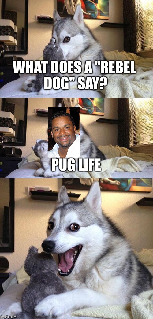 Bad Pun Dog | WHAT DOES A "REBEL DOG" SAY? PUG LIFE | image tagged in memes,bad pun dog | made w/ Imgflip meme maker