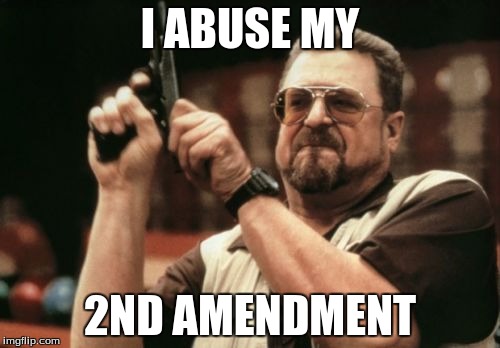 Am I The Only One Around Here Meme | I ABUSE MY; 2ND AMENDMENT | image tagged in memes,am i the only one around here | made w/ Imgflip meme maker