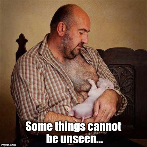 Please, make me unsee!!! | Some things cannot be unseen... | image tagged in can't unsee | made w/ Imgflip meme maker