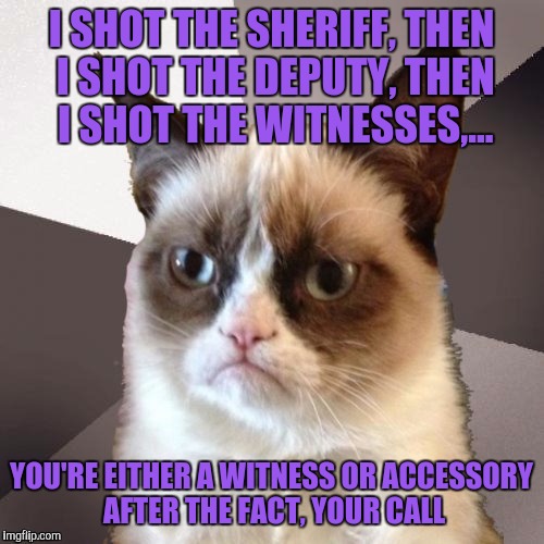 I maliciously shot the Sheriff |  I SHOT THE SHERIFF, THEN I SHOT THE DEPUTY, THEN I SHOT THE WITNESSES,... YOU'RE EITHER A WITNESS OR ACCESSORY AFTER THE FACT, YOUR CALL | image tagged in musically malicious grumpy cat,sewmyeyesshut,funny memes,i shot the sheriff,now i must shoot you | made w/ Imgflip meme maker