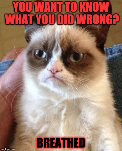 What You Did Wrong | YOU WANT TO KNOW WHAT YOU DID WRONG? BREATHED | image tagged in memes,grumpy cat | made w/ Imgflip meme maker