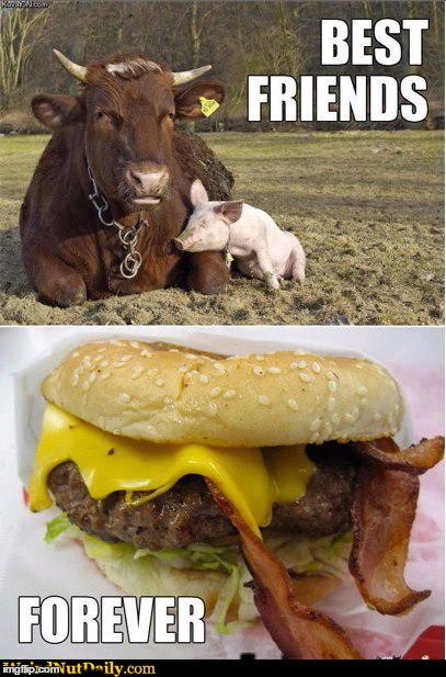 best friends | BEST FRIENDS; FOREVER | image tagged in memes,funny,bacon,burger,best friends,bffs | made w/ Imgflip meme maker