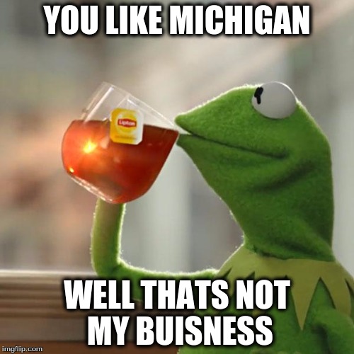 But That's None Of My Business | YOU LIKE MICHIGAN; WELL THATS NOT MY BUISNESS | image tagged in memes,but thats none of my business,kermit the frog | made w/ Imgflip meme maker