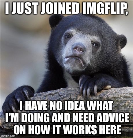 Confession Bear | I JUST JOINED IMGFLIP, I HAVE NO IDEA WHAT I'M DOING AND NEED ADVICE ON HOW IT WORKS HERE | image tagged in memes,confession bear | made w/ Imgflip meme maker
