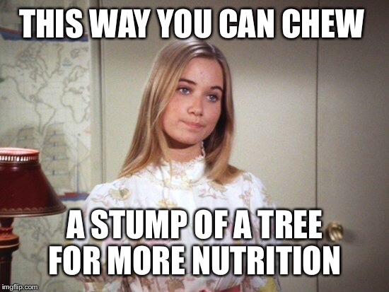 THIS WAY YOU CAN CHEW A STUMP OF A TREE FOR MORE NUTRITION | made w/ Imgflip meme maker