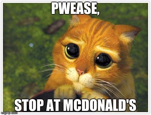 Shrek Cat | PWEASE, STOP AT MCDONALD'S | image tagged in memes,shrek cat | made w/ Imgflip meme maker