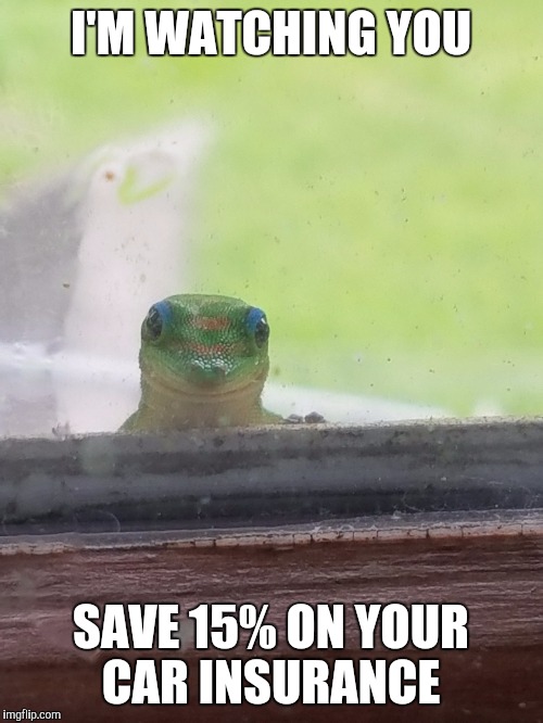 I'M WATCHING YOU; SAVE 15% ON YOUR CAR INSURANCE | made w/ Imgflip meme maker
