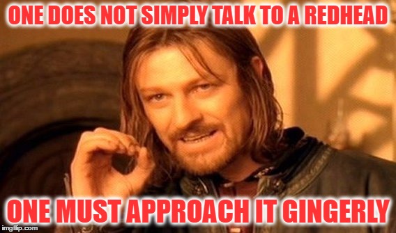 Reviving my very first meme from my original profile. | ONE DOES NOT SIMPLY TALK TO A REDHEAD; ONE MUST APPROACH IT GINGERLY | image tagged in memes,one does not simply,gingers | made w/ Imgflip meme maker