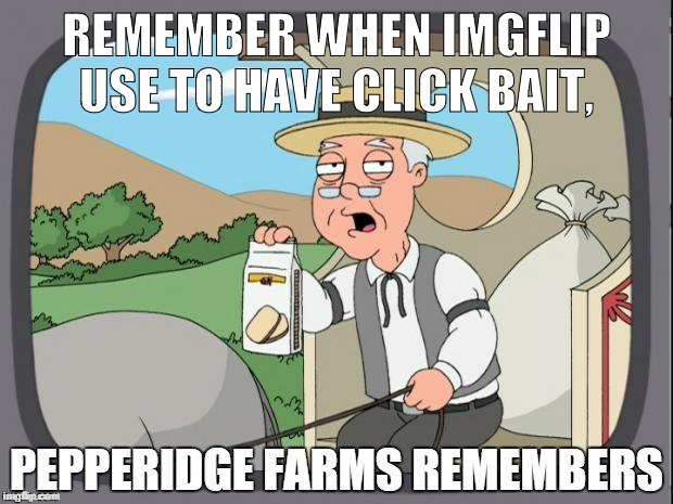 PEPPERIDGE FARMS REMEMBERS | REMEMBER WHEN IMGFLIP USE TO HAVE CLICK BAIT, | image tagged in pepperidge farms remembers | made w/ Imgflip meme maker