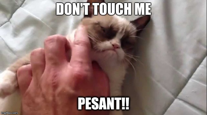 DON'T TOUCH ME; PESANT!! | image tagged in grumpy cat,funny cat memes | made w/ Imgflip meme maker